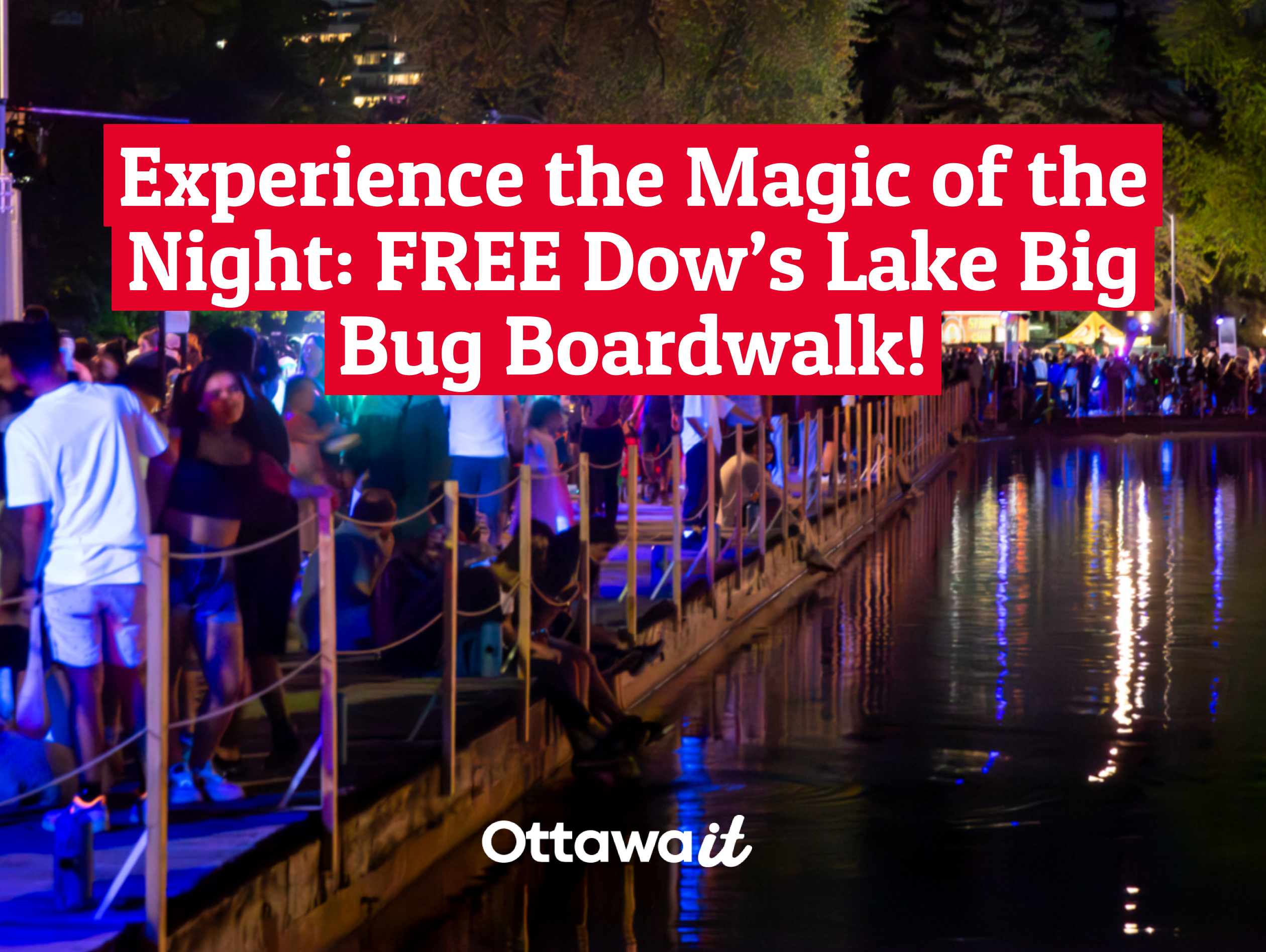 Discover Ottawa’s Magic at the Big Bug Boardwalk: A Nighttime Glow Like No Other!