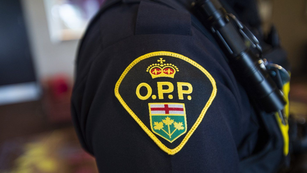 Ottawa Resident Faces Charges After Frontal Crash