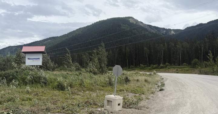 Miners entraped underground at B.C. mine saved, more than 60 hours after collapse