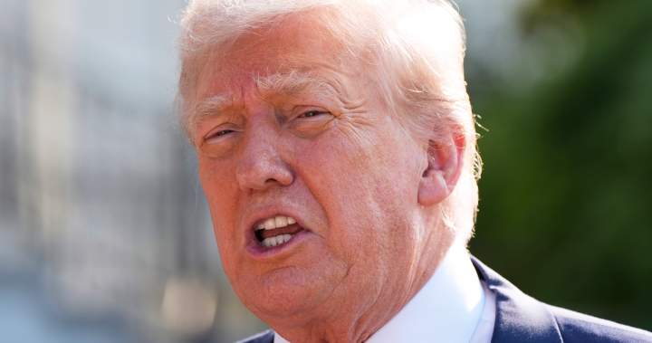 Trump states Canada might need to ‘simply pay tolls’ as trade talks proceed – National