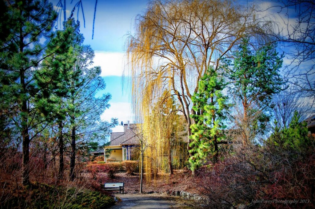 A picturesque garden path leading to a charming house in Kelowna, BC, surrounded by lush trees.